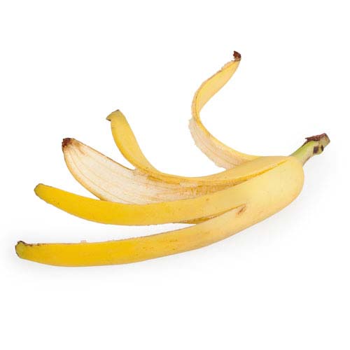 41 වන පාඩම